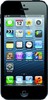 Apple iPhone 5 16GB - Бутурлиновка