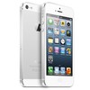 Apple iPhone 5 64Gb white - Бутурлиновка